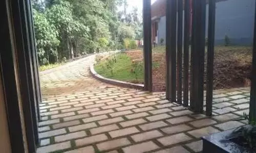 vellimadukunnu juvenile