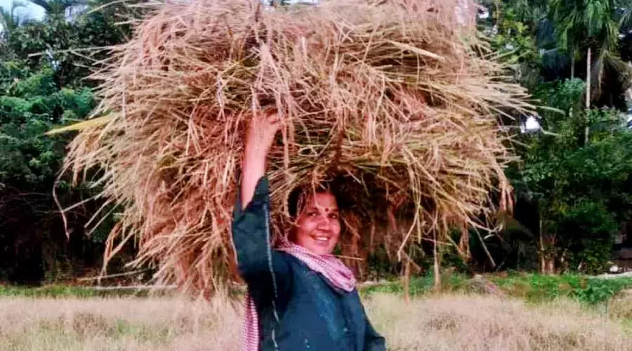 ഒറ്റക്ക് പാടം കൊയ്യാനിറങ്ങി കര്‍ഷക