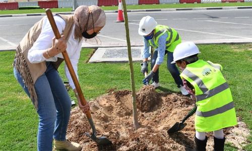 ലോകകപ്പിനു മുേമ്പ 10ലക്ഷം മരങ്ങൾ ലോകകപ്പിനു മുേമ്പ 10ലക്ഷം മരങ്ങൾ