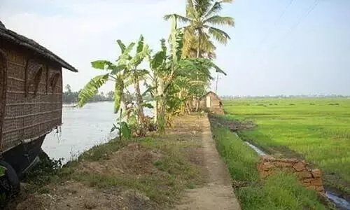 നെൽവയൽ തണ്ണീർത്തട നിയമം കുട്ടനാടിനൊപ്പം  അപ്പർ കുട്ടനാടൻ മേഖലക്കും ബാധകമാക്കണം