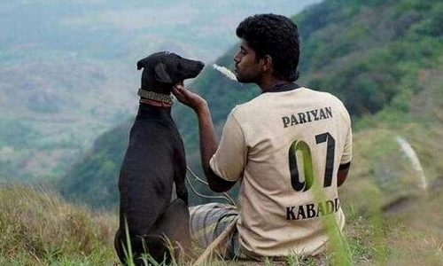 പരിയേറും പെരുമാൾ ഹിന്ദിയിലേക്ക്​ റീമേക്ക്​ ചെയ്യാനൊരുങ്ങി കരൺ ​ജോഹർ