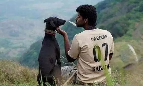 പരിയേറും പെരുമാൾ ഹിന്ദിയിലേക്ക്​ റീമേക്ക്​ ചെയ്യാനൊരുങ്ങി കരൺ ​ജോഹർ