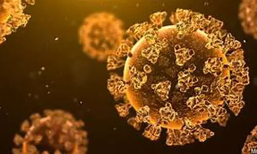 എട്ട്​ അധ്യാപകർക്ക്​ കോവിഡ്​; കോട്ടൺഹിൽ സ്​കൂൾ അടച്ചു