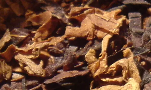 ചവക്കുന്ന പുകയില വിൽപന; 1000 റിയാൽ പി​ഴയിട്ടു