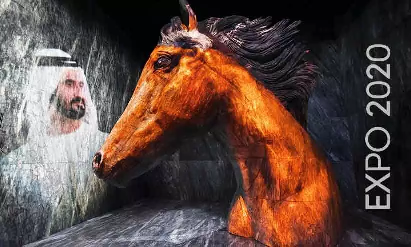 Vision-Pavilion Vision-Pavilion