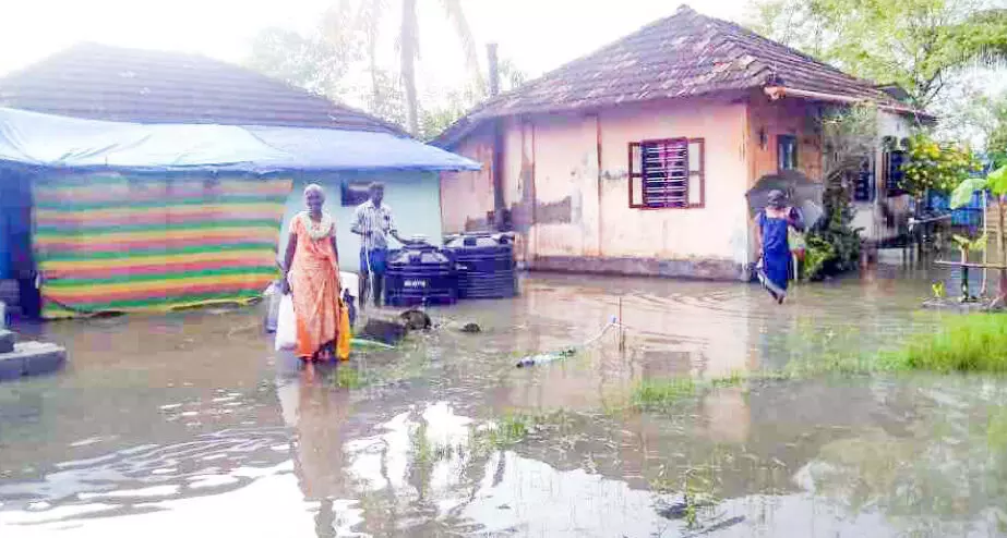 പാടശേഖരങ്ങളിലെ വെള്ളക്കെട്ട്​ പമ്പ് ചെയ്ത് നീക്കണം
