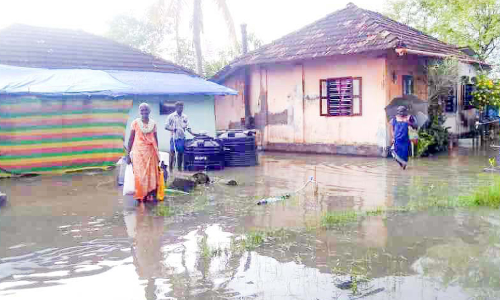 പാടശേഖരങ്ങളിലെ വെള്ളക്കെട്ട്​ പമ്പ് ചെയ്ത് നീക്കണം