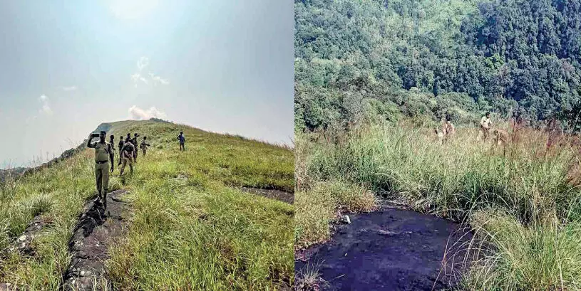 ഉൾവനത്തിൽ വനം വകുപ്പിെൻറ കഞ്ചാവ് കൃഷി പരിശോധന; കാട്ടിൽ ക്യാമ്പ് ചെയ്തായിരുന്നു പരിശോധന ഉൾവനത്തിൽ വനം വകുപ്പിെൻറ കഞ്ചാവ് കൃഷി പരിശോധന; കാട്ടിൽ ക്യാമ്പ് ചെയ്തായിരുന്നു പരിശോധന