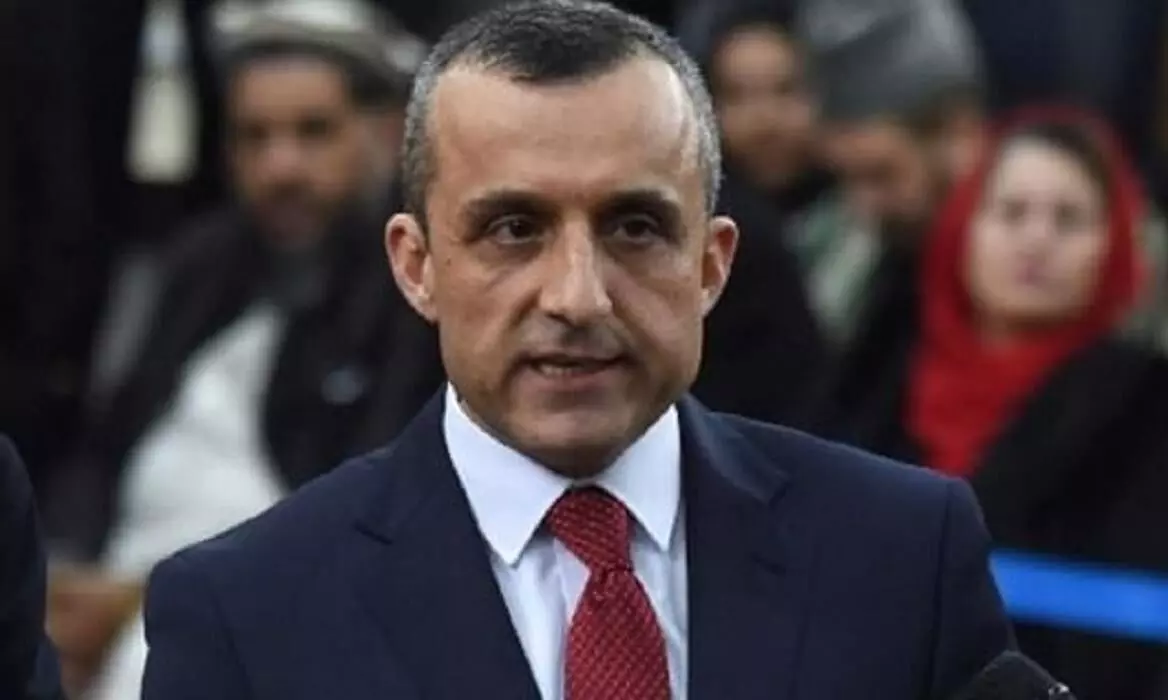 amarulla sleh amarulla sleh