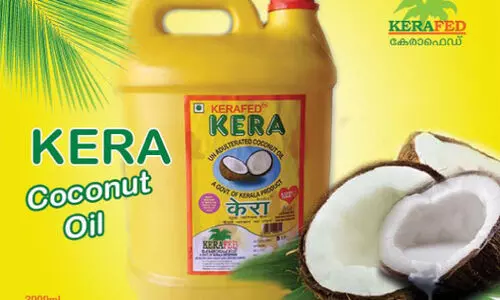 kera Coconut oil