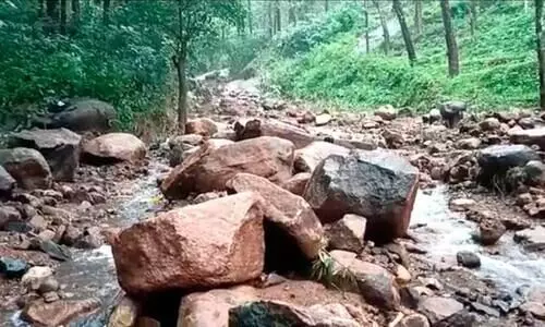 ര​ണ്ടാ​ഴ്ച​ക്കി​ടെ ആ​ര്യ​ങ്കാ​വി​ൽ ഇ​ത് ര​ണ്ടാം ദു​ര​ന്തം