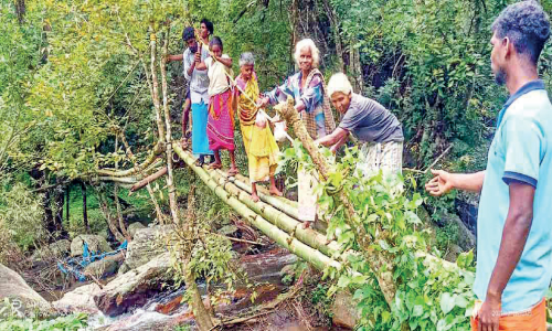 ഒ​റ​വ​ൻ​പാ​ടി കോ​ള​നി​യി​ൽ ദു​രി​ത​മൊ​​ഴി​യു​ന്നി​ല്ല; മു​ള​കൊ​ണ്ട് നി​ർ​മി​ച്ച പാ​ല​ത്തി​ലൂ​ടെ​യാ​ണ് കോ​ള​നി​വാ​സി​ക​ൾ യാ​ത്ര ചെ​യ്യു​ന്ന​ത്