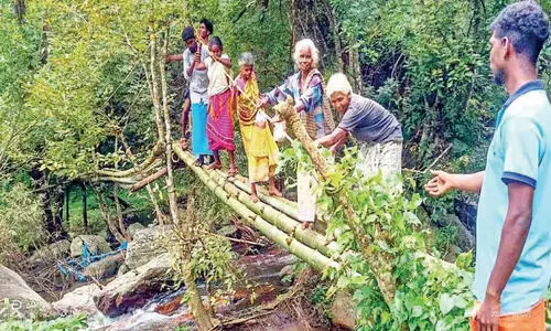 ഒ​റ​വ​ൻ​പാ​ടി കോ​ള​നി​യി​ൽ ദു​രി​ത​മൊ​​ഴി​യു​ന്നി​ല്ല; മു​ള​കൊ​ണ്ട് നി​ർ​മി​ച്ച പാ​ല​ത്തി​ലൂ​ടെ​യാ​ണ് കോ​ള​നി​വാ​സി​ക​ൾ യാ​ത്ര ചെ​യ്യു​ന്ന​ത്