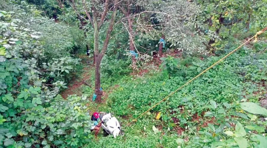 ചുരത്തിൽ സ്കൂട്ടർ കൊക്കയിലേക്ക് പതിച്ചു; യുവതി അത്ഭുതകരമായി രക്ഷപ്പെട്ടു ചുരത്തിൽ സ്കൂട്ടർ കൊക്കയിലേക്ക് പതിച്ചു; യുവതി അത്ഭുതകരമായി രക്ഷപ്പെട്ടു