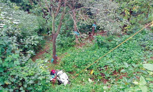 ചുരത്തിൽ സ്‌കൂട്ടർ കൊക്കയിലേക്ക് പതിച്ചു; യുവതി അത്ഭുതകരമായി രക്ഷപ്പെട്ടു