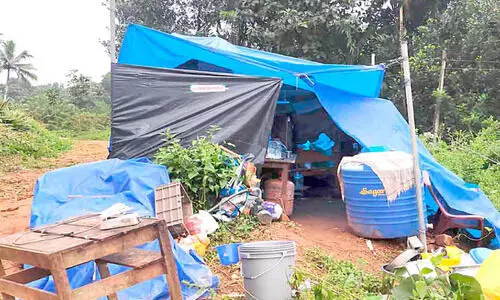 ദുരിതാശ്വാസക്യാമ്പില്‍നിന്ന്​ തിരികെയെത്തിയവർ ഹാരിസണ്‍ തോട്ടത്തില്‍ കുടില്‍കെട്ടി
