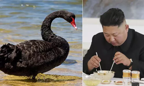 രുചികരമായ കറുത്ത അരയന്ന മാംസം കഴിക്കൂ...; ഭക്ഷ്യക്ഷാമത്തിനിടയിൽ ജനങ്ങളോട്​ ഉത്തരകൊറിയ