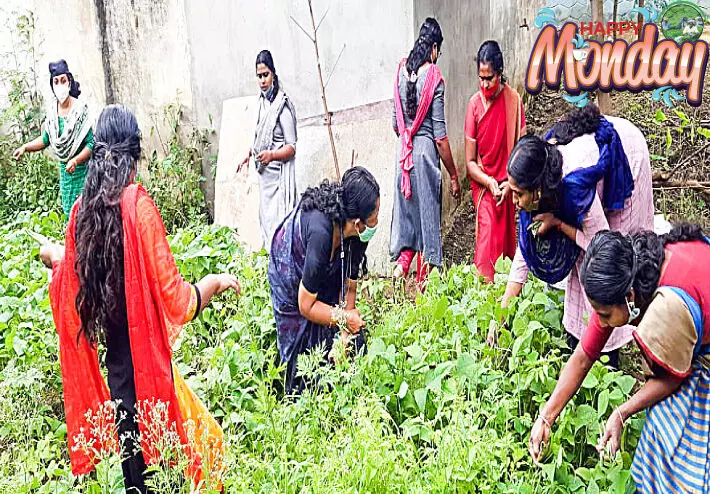 സ്​​കൂ​ളി​ൽ​ ചോ​റു​ണ്ണാം; ഇ​ഷ്​​ട​മു​ള്ള ക​റി​ക​ൾ കൂ​ട്ടി