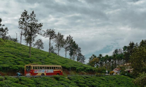 സ്ഥലം വിട്ടുനല്‍കാന്‍ സമ്മതമറിയിച്ച് തോട്ടമുടമകള്‍;  മേപ്പാടി-ചൂരല്‍മല റോഡ് വികസനത്തിനു വഴി തെളിയുന്നു