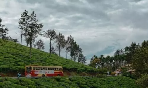 സ്ഥലം വിട്ടുനല്‍കാന്‍ സമ്മതമറിയിച്ച് തോട്ടമുടമകള്‍;  മേപ്പാടി-ചൂരല്‍മല റോഡ് വികസനത്തിനു വഴി തെളിയുന്നു