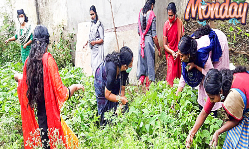 സ്​​കൂ​ളി​ൽ​ ചോ​റു​ണ്ണാം; ഇ​ഷ്​​ട​മു​ള്ള ക​റി​ക​ൾ കൂ​ട്ടി