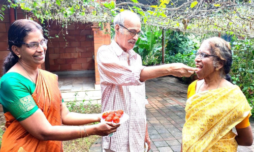 എഴുത്തി​െൻറ ഹരിതശോഭ; വലിയ അംഗീകാരത്തിൽ വലിയ സന്തോഷമെന്ന്​ പി. വത്സല