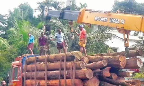 തൊഴിലാളികളുമായി കൂലിത്തർക്കം: മരവ്യാപാരികൾ ലോഡ് കയറ്റി