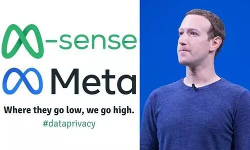 Metas logo looks similar to Germany based migraine app