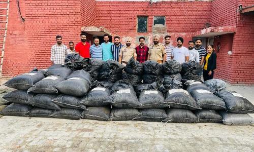 poppy husk from Moga