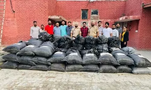 poppy husk from Moga