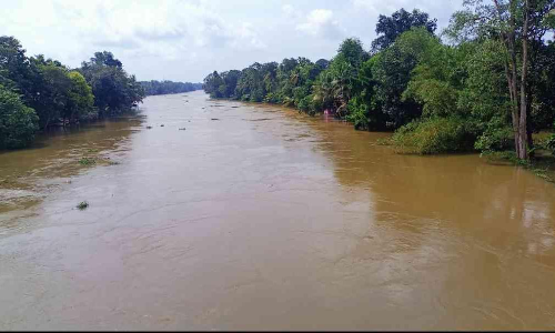 പമ്പാനദിയിൽ വീണ്ടും ജലനിരപ്പ് ഉയരുന്നു; തീരവാസികൾ ആശങ്കയിൽ