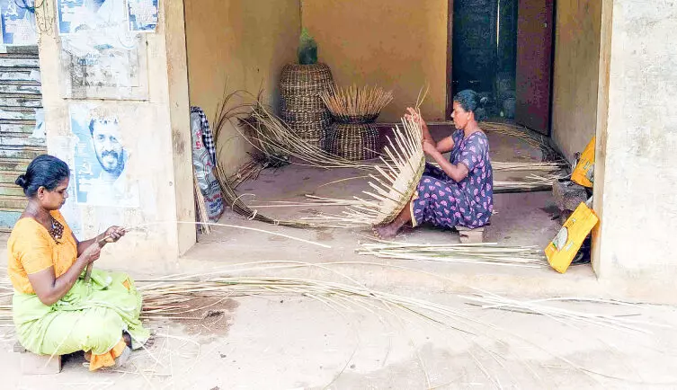 ഈറ്റ വ്യവസായത്തിൽ പ്രതിസന്ധി; തൊഴിലാളികൾ പട്ടിണിയിൽ ഈറ്റ വ്യവസായത്തിൽ പ്രതിസന്ധി; തൊഴിലാളികൾ പട്ടിണിയിൽ