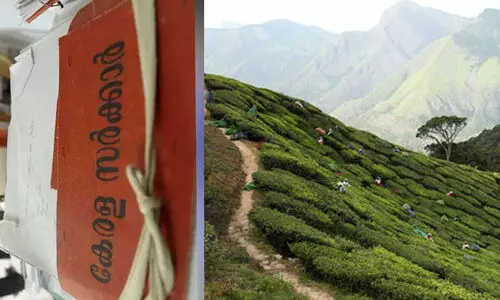 Plantation land Plantation land