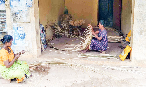 ഈറ്റ വ്യവസായത്തിൽ പ്രതിസന്ധി; തൊഴിലാളികൾ പട്ടിണിയിൽ