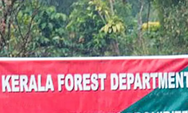 forest department kerala