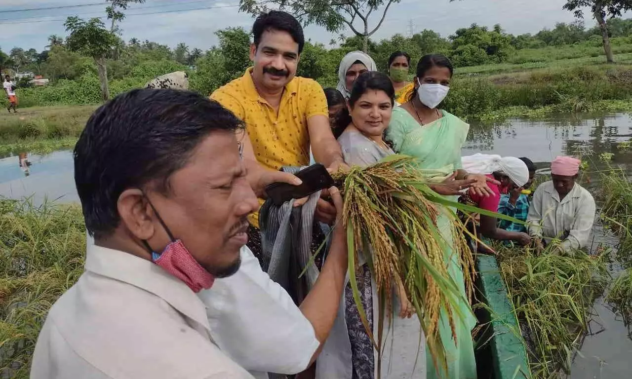 koythulsavam koythulsavam