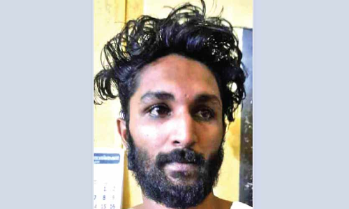 മയക്കുമരുന്ന് ശേഖരം: പ്രതി പിടിയിൽ