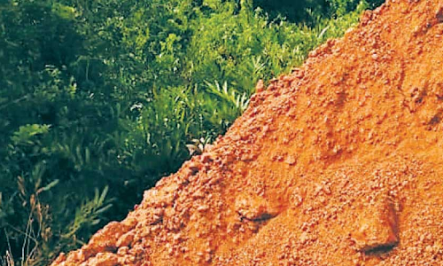 കുഞ്ഞിമംഗലത്ത് വ്യാപക കണ്ടൽ നശീകരണം; മണ്ണിട്ട് തണ്ണീർത്തടം നികത്തി