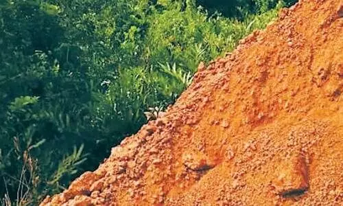 കുഞ്ഞിമംഗലത്ത് വ്യാപക കണ്ടൽ നശീകരണം; മണ്ണിട്ട് തണ്ണീർത്തടം നികത്തി