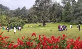 ooty botanical garden