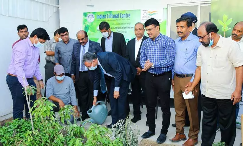 ​െഎ.​സി.​സി ആ​യു​ർ​വേ​ദ ദി​നാ​ഘോ​ഷം