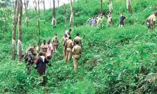 Tiger, karuvarakundu