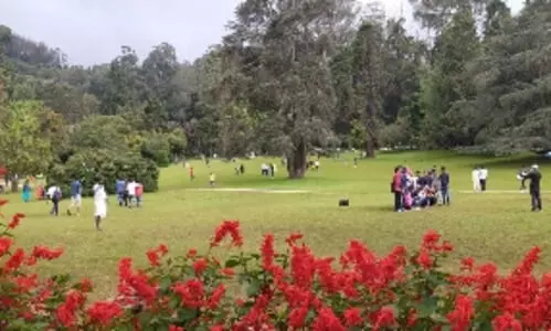 ooty botanical garden