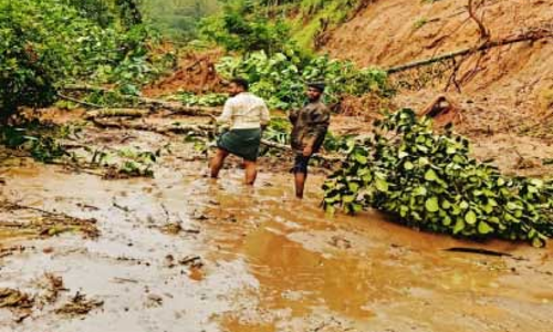 ഉരുള്‍പൊട്ടലും മണ്ണിടിച്ചിലും; പാലാറിൽ വ്യാപക നാശം