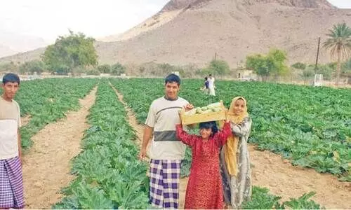 സംയോജിത കാർഷിക പദ്ധതി; ഭൂമി അനുവദിച്ചു സംയോജിത കാർഷിക പദ്ധതി; ഭൂമി അനുവദിച്ചു