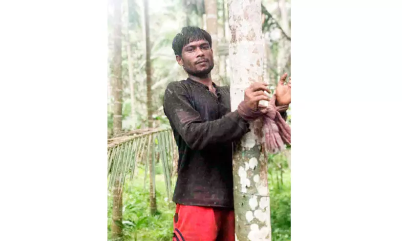 അടക്കപറിക്കാനും അന്തർസംസ്ഥാന തൊഴിലാളികൾ