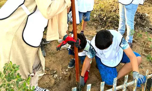 സൗ​ദി ഇ​നി ഹ​രി​താ​ഭ​മാ​കും