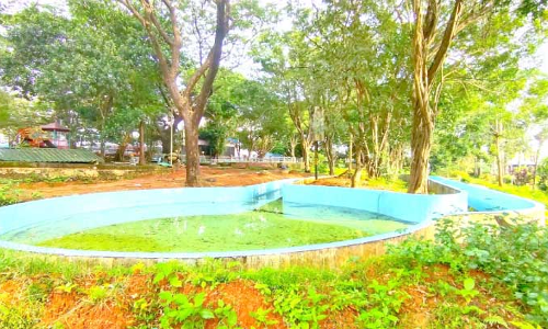 Thodupuzha Municipal Park