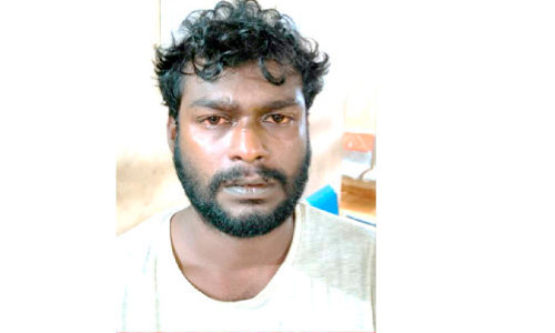 വീ​ട്ട​മ്മ​ക്കു​നേ​രെ അ​തി​ക്ര​മം: പ്ര​തി പി​ടി​യി​ൽ