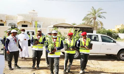 ബാത്തിന മേഖലയിൽ 3000 ഫലവൃക്ഷത്തൈകൾ വിതരണം ചെയ്​തു